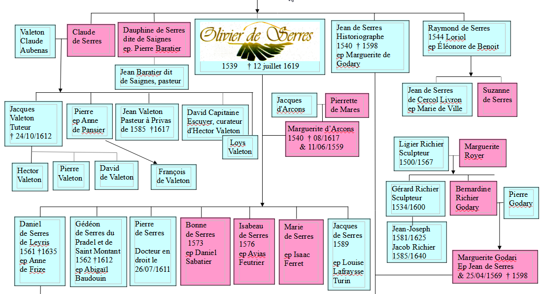 genealogie1